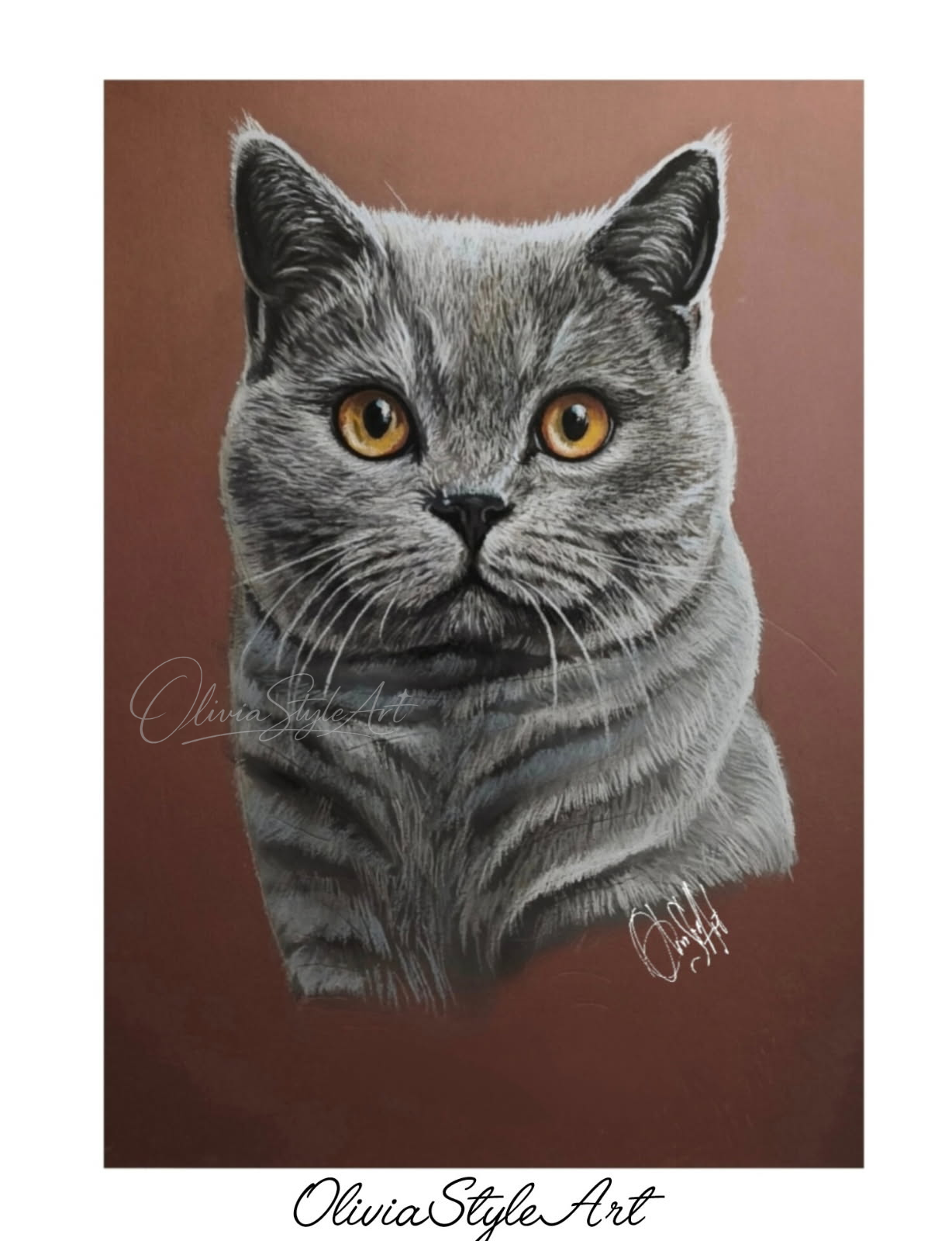 Portrait British shorthair bleue